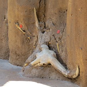 Elephant Odyssey - Fossil Portal