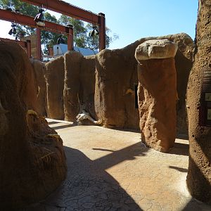 Elephant Odyssey - Fossil Portal