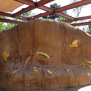 Elephant Odyssey - Fossil Portal