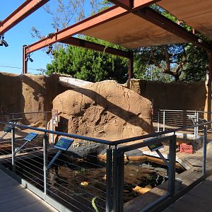 Elephant Odyssey - Fossil Portal