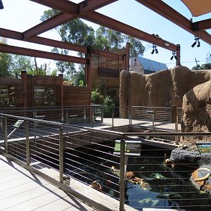 Elephant Odyssey - Fossil Portal