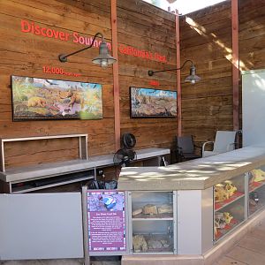 Elephant Odyssey - Fossil Portal Education Counter