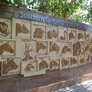 Elephant Odyssey - Entry Portal