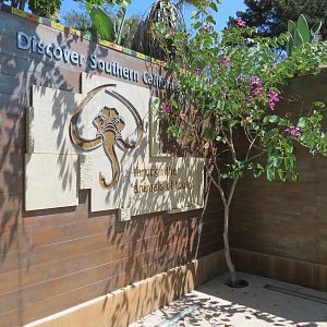 Elephant Odyssey - Entry Portal