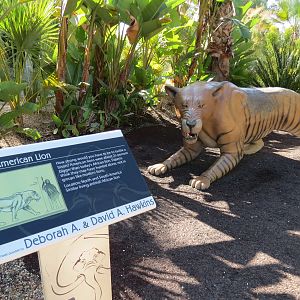 Elephant Odyssey - Extinct American Lion Statue