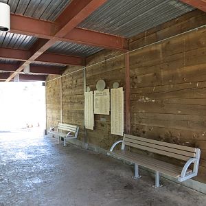Elephant Odyssey - African Lion Exhibit