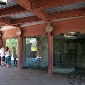 Elephant Odyssey - Jaguar Exhibit
