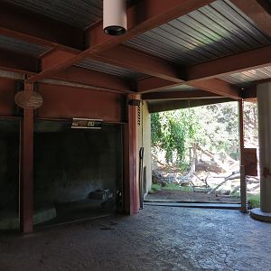 Elephant Odyssey - Jaguar Exhibit