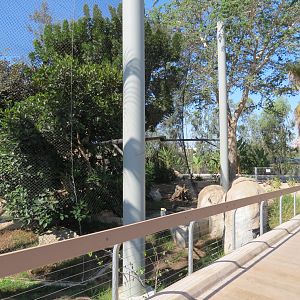 Elephant Odyssey - Jaguar Exhibit