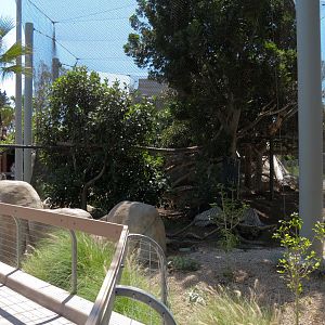 Elephant Odyssey - Jaguar Exhibit