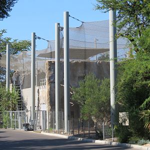 Elephant Odyssey - African Lion and Jaguar Exhibits facing Bus Tour Road