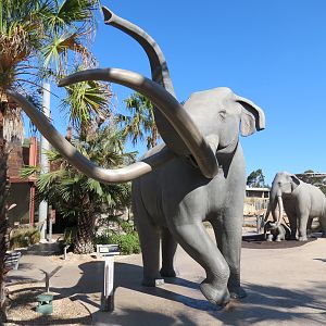 Elephant Odyssey - Extinct Columbian Mammoth Statues