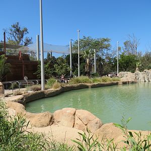 Elephant Odyssey - African and Asian Elephant Exhibit 1