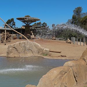 Elephant Odyssey - African and Asian Elephant Exhibit 1