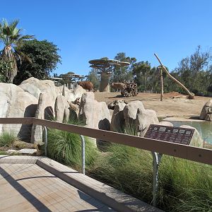 Elephant Odyssey - African and Asian Elephant Exhibit 1