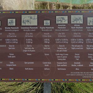 Elephant Odyssey - Elephant Sign