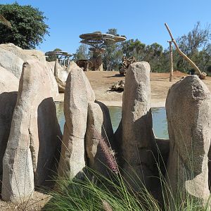 Elephant Odyssey - African and Asian Elephant Exhibit 1