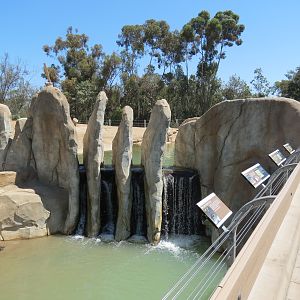 Elephant Odyssey - Bairds Tapir and Others Exhibit 1