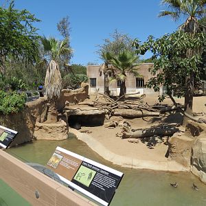 Elephant Odyssey - Bairds Tapir and Others Exhibit 1