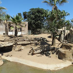 Elephant Odyssey - Bairds Tapir and Others Exhibit 1