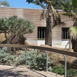 Elephant Odyssey - Bairds Tapir and Others Exhibit 1