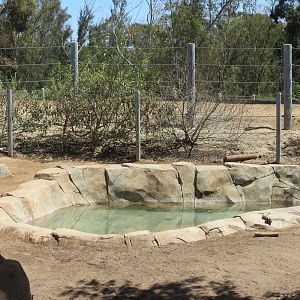 Elephant Odyssey - Bairds Tapir and Others Exhibit 2