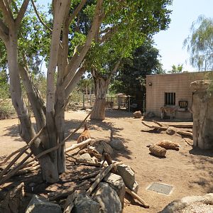 Elephant Odyssey - Bairds Tapir and Others Exhibit 2