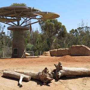 Elephant Odyssey - African and Asian Elephant Exhibit 1