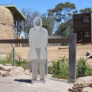 Elephant Odyssey - African and Asian Elephant Exhibit 1