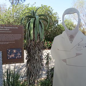 Elephant Odyssey - Mammoth Extinction Theory Graphics