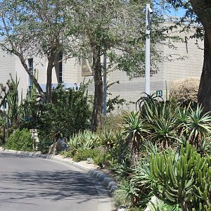 Elephant Odyssey - Elephant Care Center