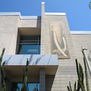 Elephant Odyssey - Elephant Care Center