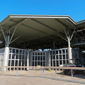 Elephant Odyssey - Elephant Care Center