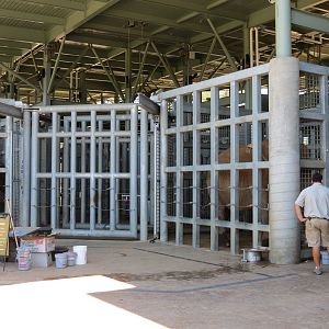 Elephant Odyssey - Elephant Care Center