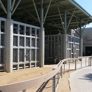 Elephant Odyssey - Elephant Care Center