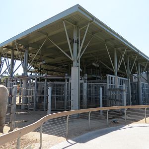 Elephant Odyssey - Elephant Care Center