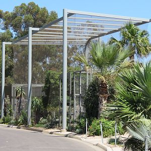 Elephant Odyssey - Secretary Bird and Black-billed Magpie Exhibit