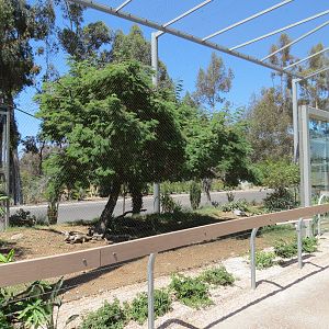 Elephant Odyssey - Secretary Bird and Black-billed Magpie Exhibit
