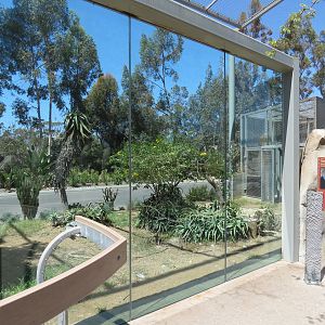 Elephant Odyssey - Secretary Bird and Black-billed Magpie Exhibit