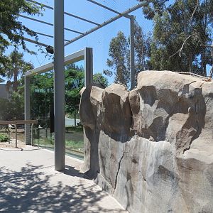 Elephant Odyssey - Secretary Bird and Black-billed Magpie Exhibit