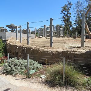 Elephant Odyssey - African and Asian Elephant Exhibit 2
