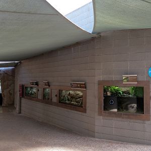 Elephant Odyssey - Insect Exhibits