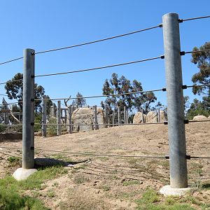 Elephant Odyssey - African and Asian Elephant Exhibit 3