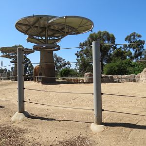 Elephant Odyssey - African and Asian Elephant Exhibit 3