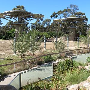 Elephant Odyssey - African and Asian Elephant Exhibit 3