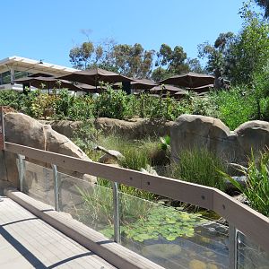 Elephant Odyssey - Reptile and Amphibian Exhibit