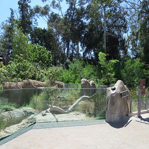 Elephant Odyssey - Reptile and Amphibian Exhibit