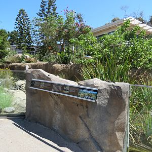 Elephant Odyssey - Reptile and Amphibian Exhibit