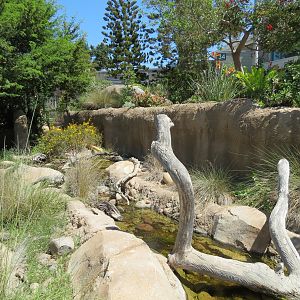 Elephant Odyssey - Reptile and Amphibian Exhibit