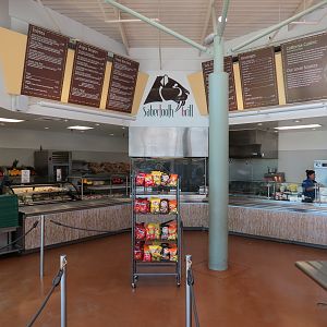 Elephant Odyssey - Sabertooth Grill